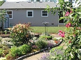 Backyard   garden