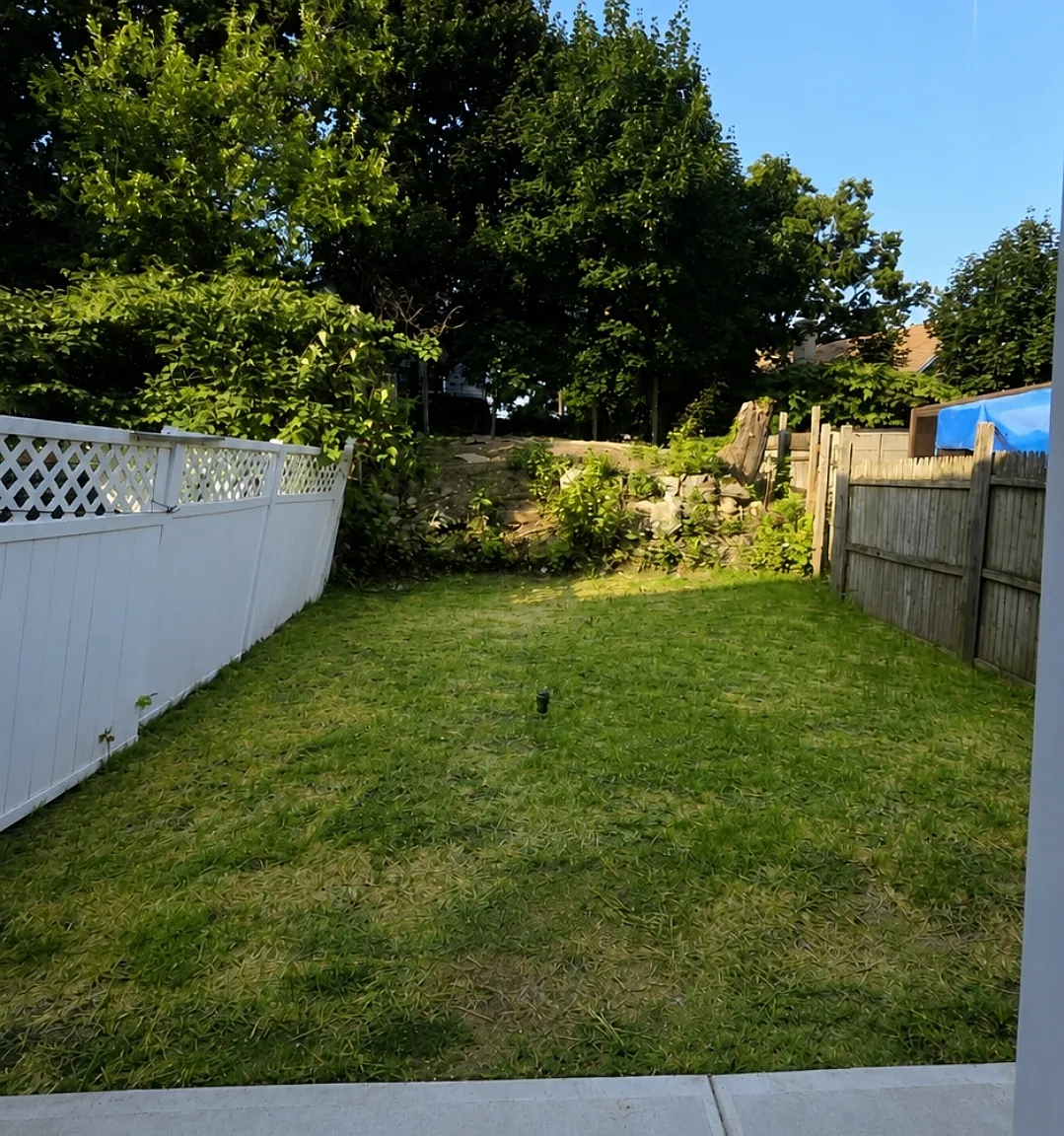 3 bed, 1.5 bath, 1240 sqft, $3,000 — Photo 2