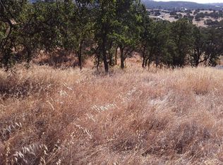 1202 Sawmill Rd, Copperopolis, CA 95228