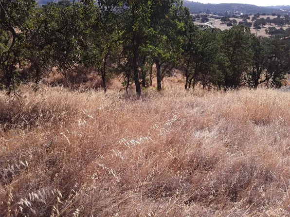 1202 Sawmill Rd, Copperopolis, CA 95228