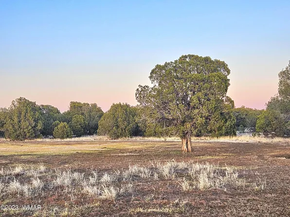 1606 Echo Ct, Show Low, AZ 85901