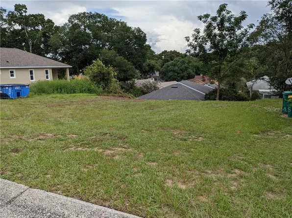 Orange Blossom Dr, Eustis, FL 32726