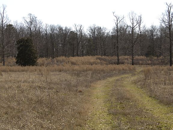 5th image of 0 Nancy Hart School Rd