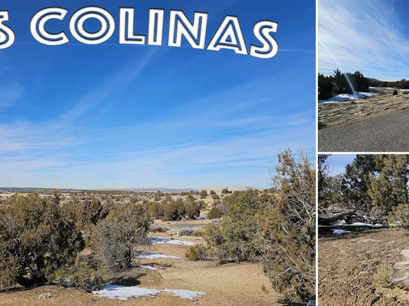 1811 Placitas Trl, Farmington, NM 87401