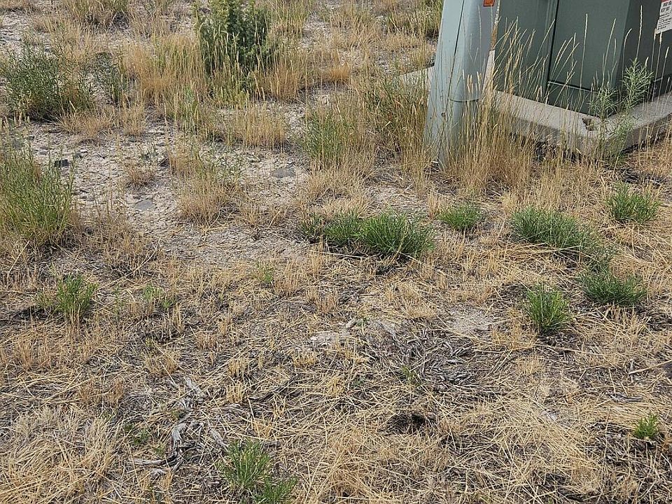 2nd image of 310 Eagle Ridge Dr