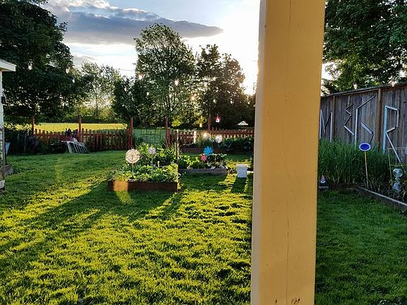 Backyard from patio