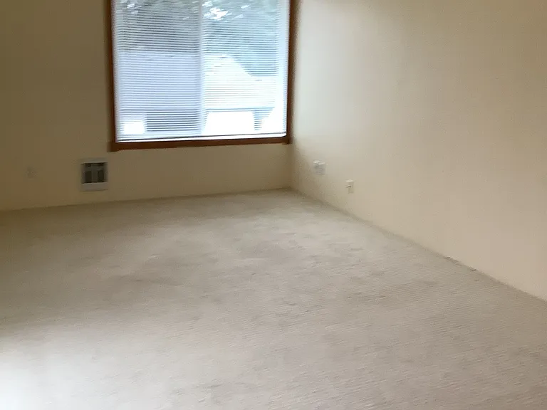 17431 Ambaum Blvd S #0 — Photo 18
