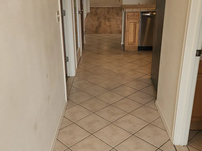 1007 W Cushing St — Photo 2