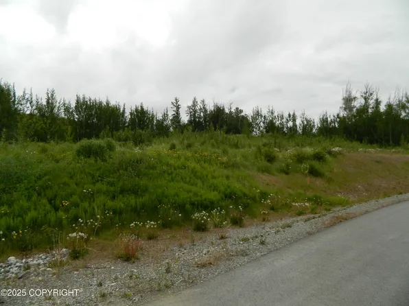 2416 E Oban Rd, Palmer, AK 99645