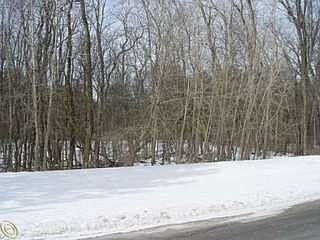 4th image of 9970 Cross Creek Dr