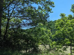 1.48 Daves Rd, Morganton, GA 30560