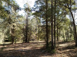 206TH Street, Obrien, FL 32071