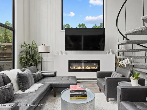 1024 E Cooper Ave APT 2, Aspen, CO 81611