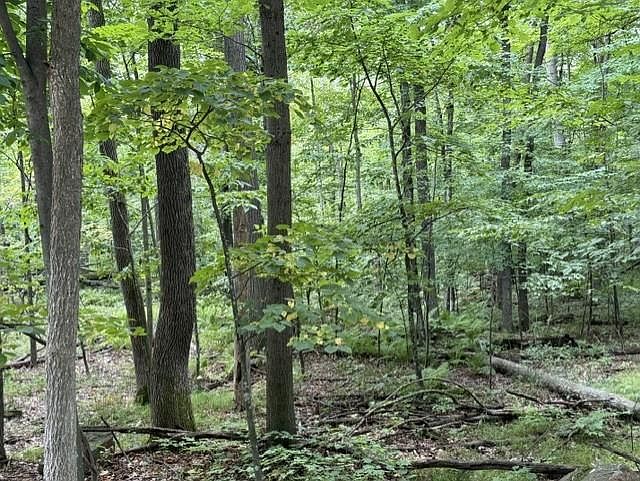 1st image of 16 Acres COUNTY ROAD B