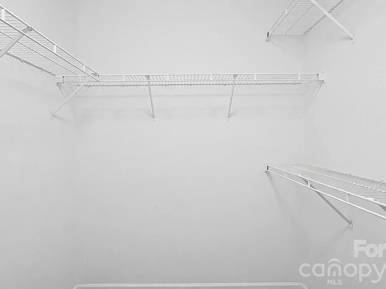 3320 Whitebridge Ln — Photo 21