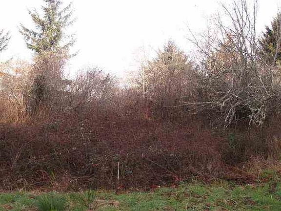 3rd image of 2700 Quinlan Ave