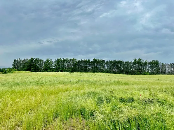 2535 Pioneer Trl, Hamel, MN 55340