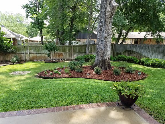 Back yard