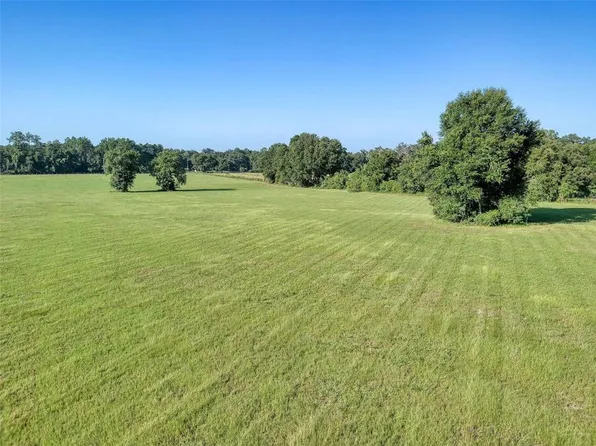 4199 E Highway 316, Citra, FL 32113