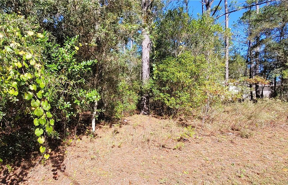 1st image of 1837 W Water Lily Dr