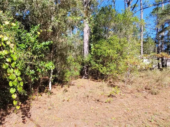 1837 W Water Lily Dr, Citrus Springs, FL 34434