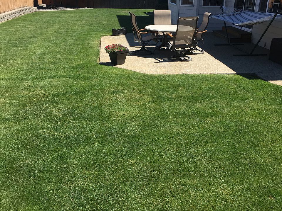 Fully Fenced Back Yard
