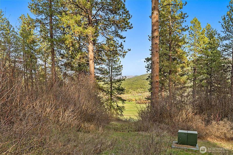 2nd image of 250 Fir Tree Drive