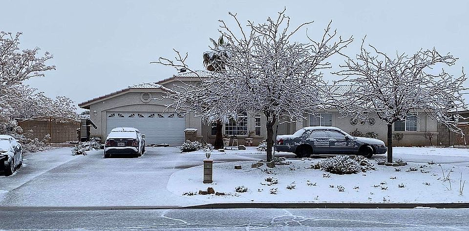 Front yard winter