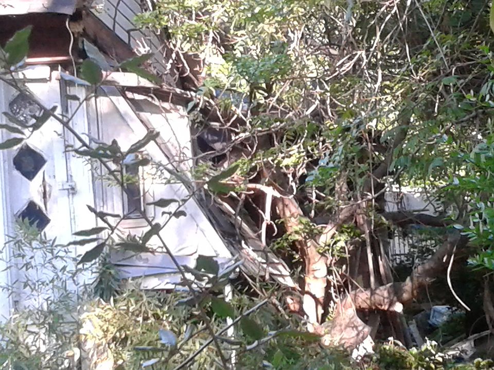 2nd image of 1636 Terry Mill Rd
