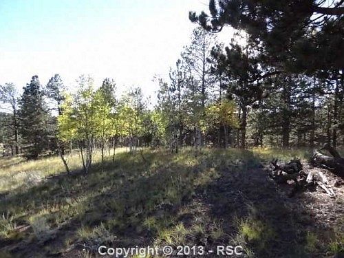 1st image of 139 Mohave Creek Trl