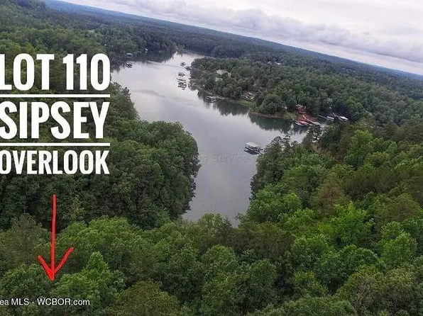 LOT 110 Sipsey Overlook Rd, Double Springs, AL 35553