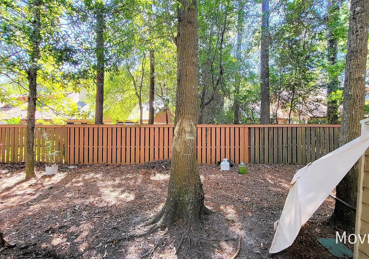 955 Downey Branch Ln Wilmington NC 28403 Gorgeous Landscaping, Wood Look Floors! — Photo 2