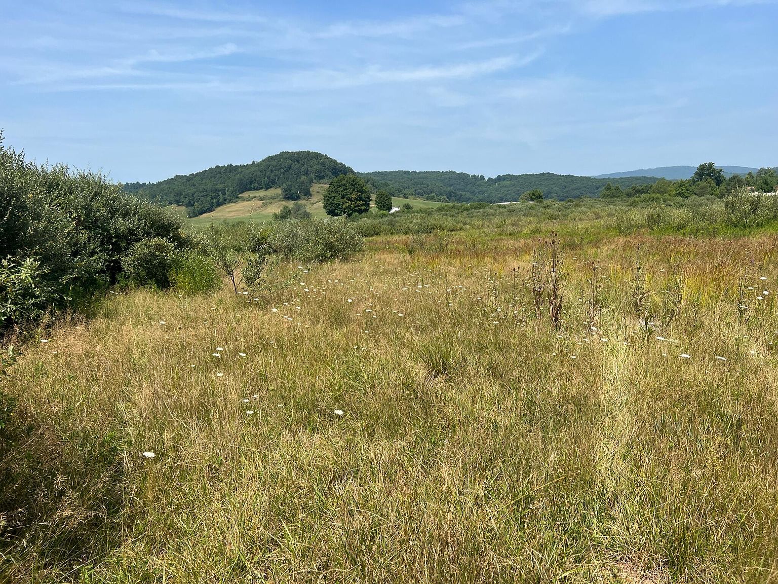 14897 W Midland Trl, Crawley, WV 24931 MLS 231024 Zillow