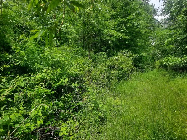 Cayuga Dr, Linesville, PA 16424