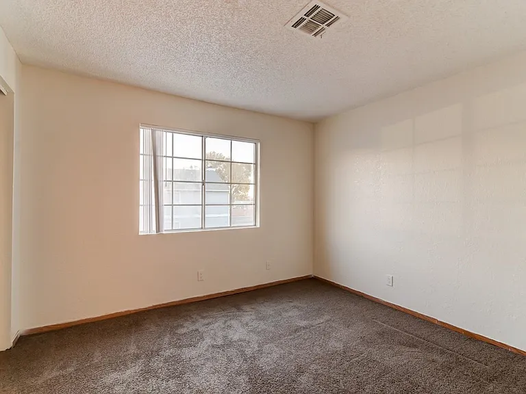 4201 Terrestrial Ln — Photo 8