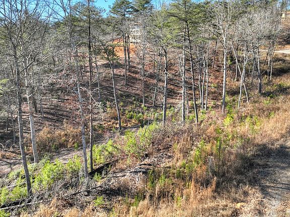 5th image of LOT 16 Mountain Laurel Dr