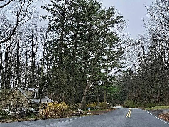 5th image of 810 Angora Rd