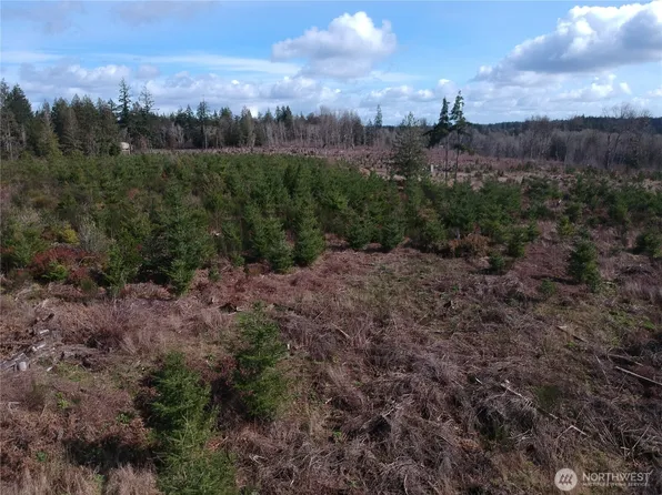 874 E Daniels Road, Shelton, WA 98584