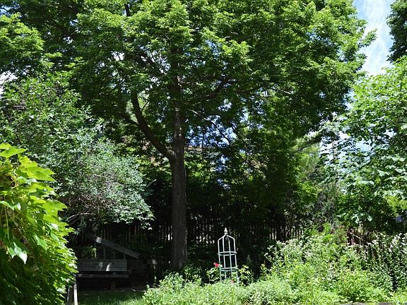 Beautiful, private and park-like backyard
