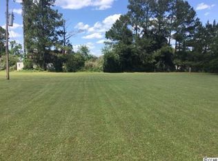 11397 Pleasant Hill Dr, Hemingway, SC 29554