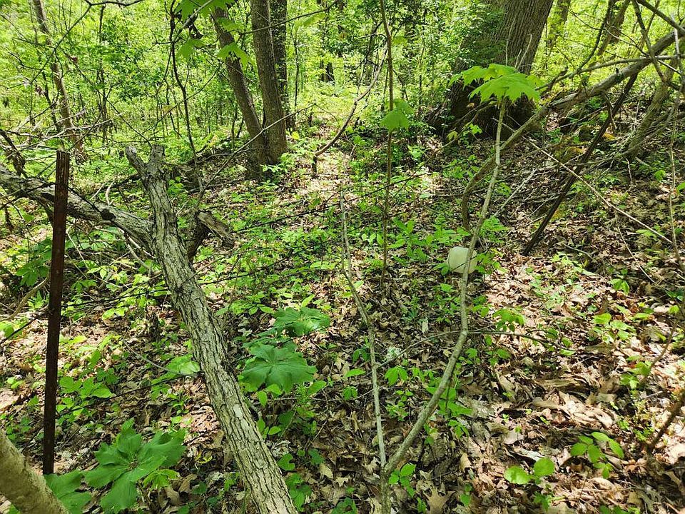 Tbd Milligan Hwy, Johnson City, TN 37601 MLS 9951225 Zillow