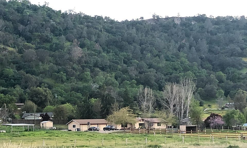 Home property setting