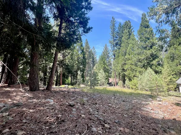 80 Paiute Trl, Graeagle, CA 96103