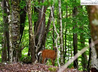 109 Greenbriar Rd, Banner Elk, NC 28604