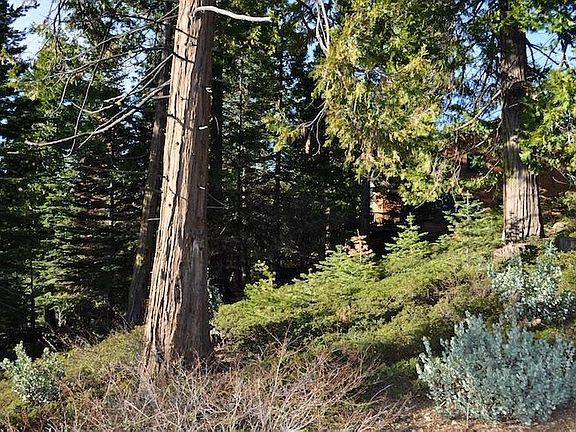 5th image of 40618 Wild Iris Ln