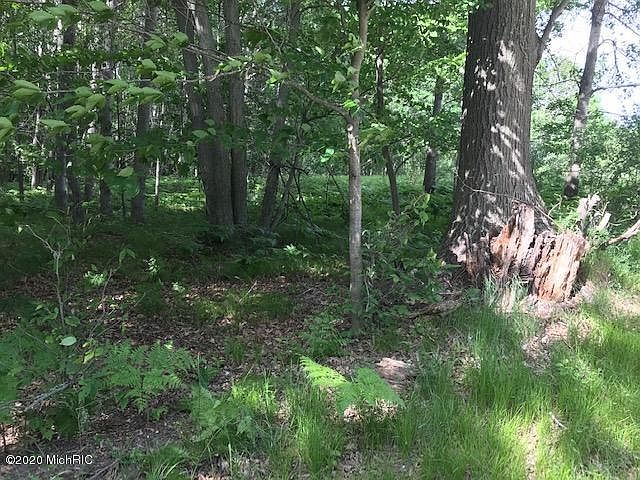 2nd image of 10381 Mountain View Trl