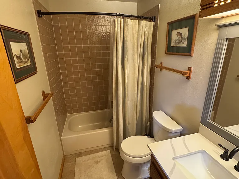 Guest Bath (new sink and granite counter)