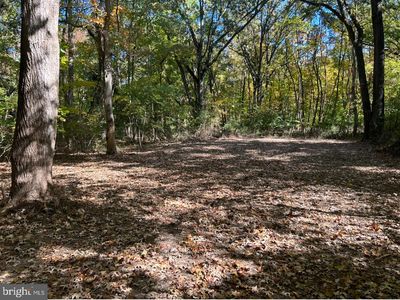 Elm Rd, Chestertown, MD, 21620