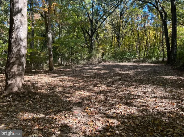 Elm Rd, Chestertown, MD 21620