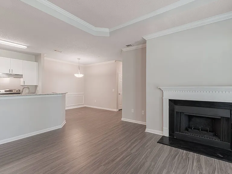 The Berkeley At Southpoint — Photo 38